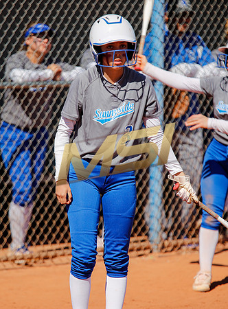 AIA Varsity Girls Softball