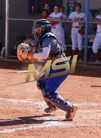 AIA Varsity Girls Softball