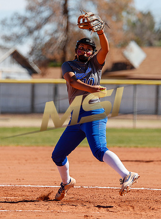 AIA Varsity Girls Softball