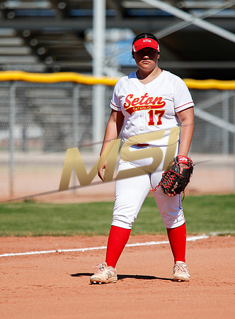 AIA Varsity Girls Softball