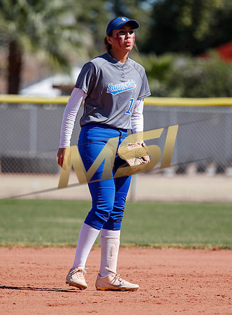 AIA Varsity Girls Softball