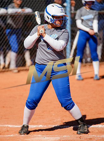 AIA Varsity Girls Softball