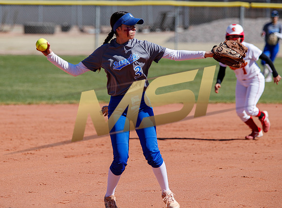 AIA Varsity Girls Softball