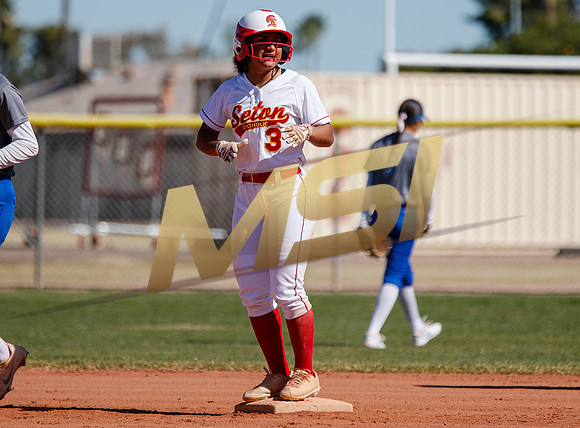 AIA Varsity Girls Softball