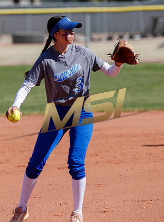 AIA Varsity Girls Softball
