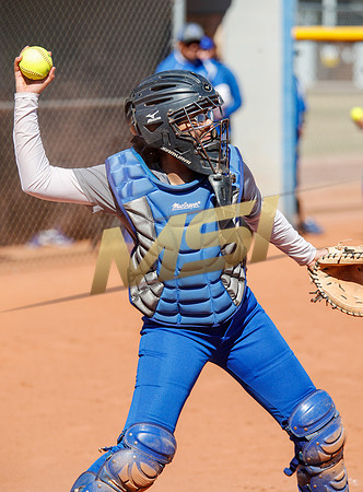 AIA Varsity Girls Softball