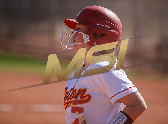 AIA Varsity Girls Softball