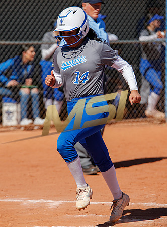 AIA Varsity Girls Softball
