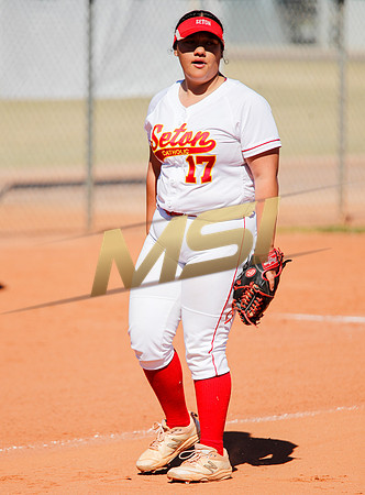 AIA Varsity Girls Softball