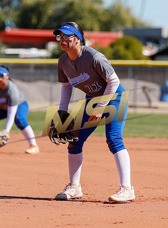 AIA Varsity Girls Softball