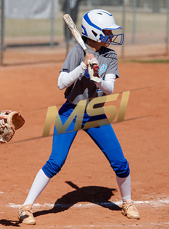 AIA Varsity Girls Softball