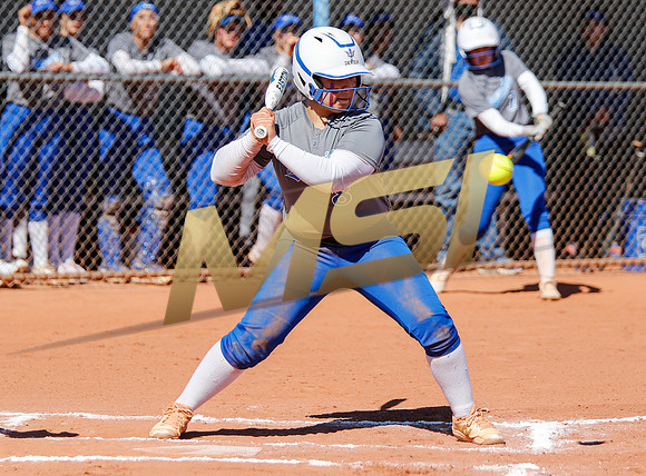 AIA Varsity Girls Softball