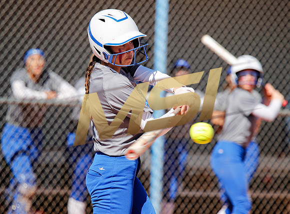 AIA Varsity Girls Softball
