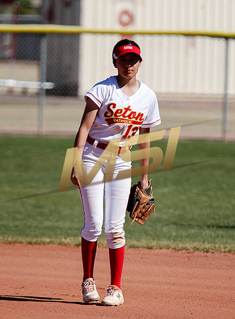AIA Varsity Girls Softball