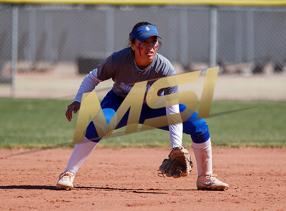 AIA Varsity Girls Softball