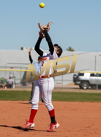 AIA Varsity Girls Softball