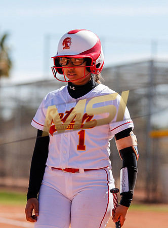 AIA Varsity Girls Softball