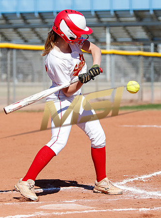 AIA Varsity Girls Softball