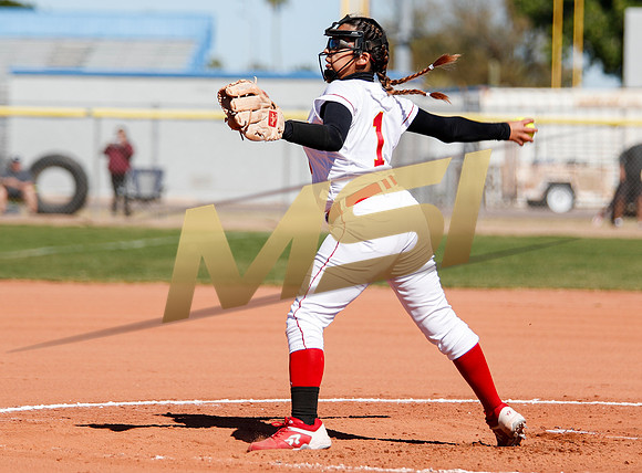 AIA Varsity Girls Softball