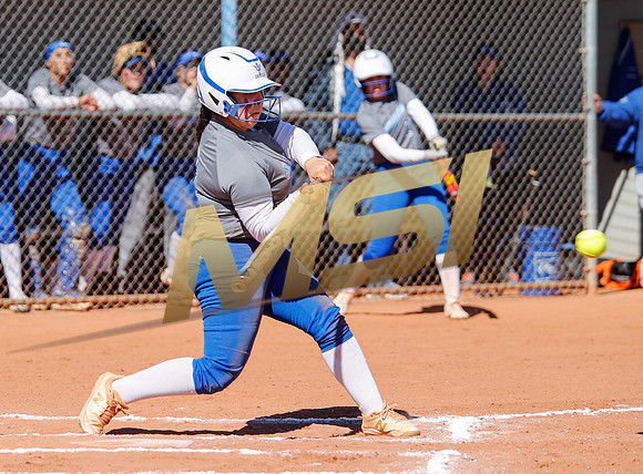 AIA Varsity Girls Softball