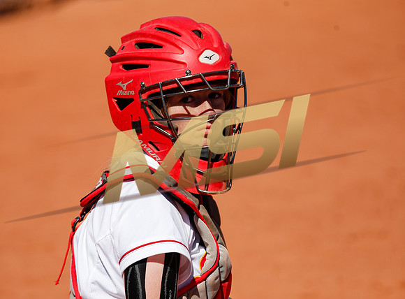 AIA Varsity Girls Softball