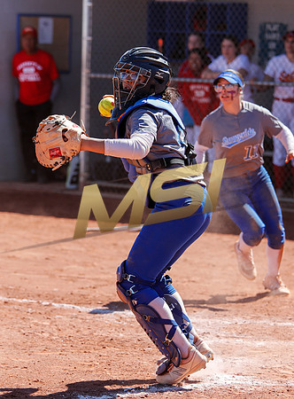 AIA Varsity Girls Softball