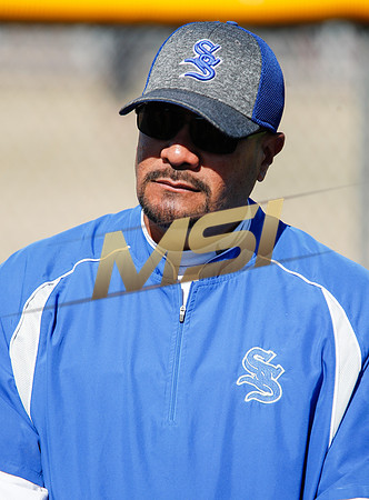 AIA Varsity Girls Softball