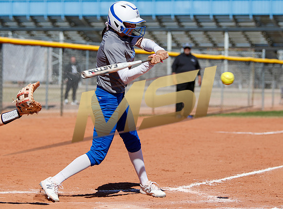 AIA Varsity Girls Softball