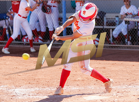AIA Varsity Girls Softball