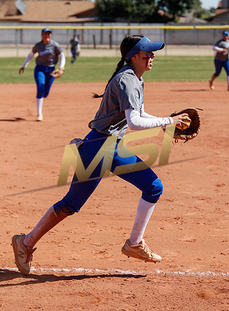AIA Varsity Girls Softball