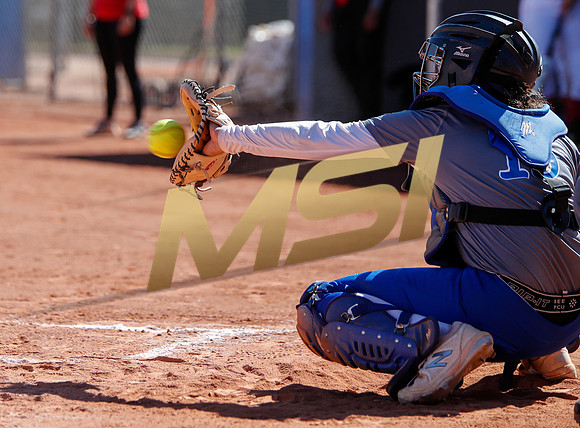 AIA Varsity Girls Softball