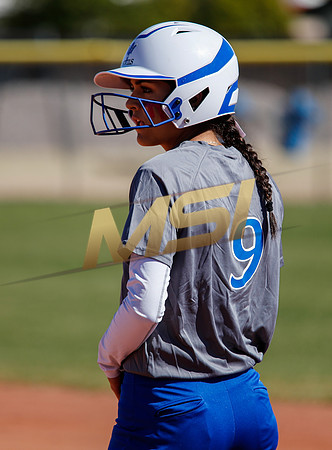 AIA Varsity Girls Softball