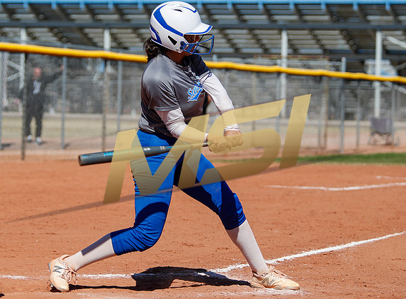 AIA Varsity Girls Softball