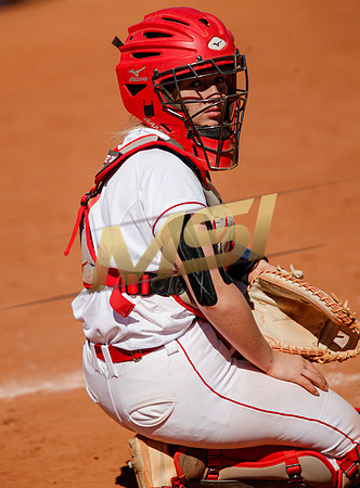 AIA Varsity Girls Softball