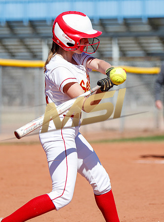 AIA Varsity Girls Softball
