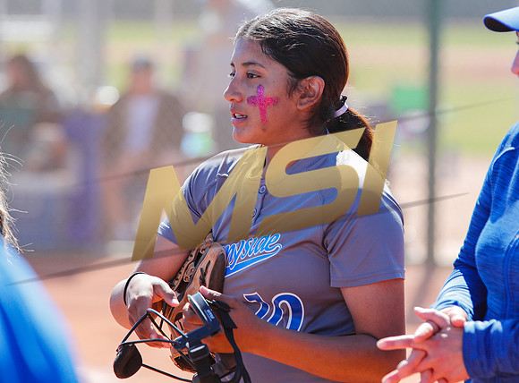 AIA Varsity Girls Softball