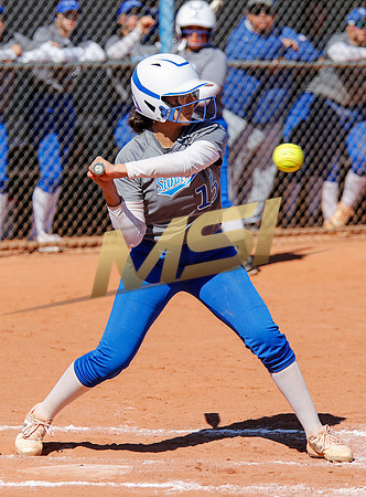 AIA Varsity Girls Softball
