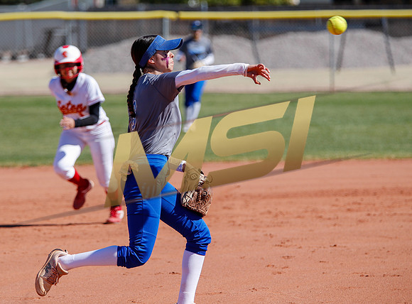 AIA Varsity Girls Softball