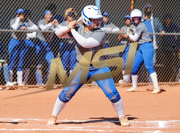 AIA Varsity Girls Softball
