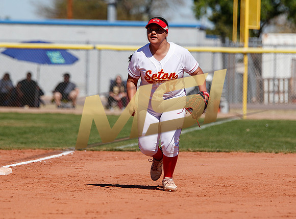 AIA Varsity Girls Softball