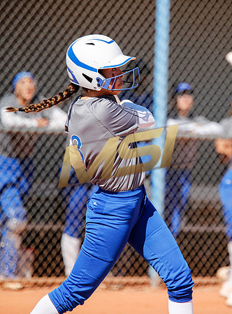 AIA Varsity Girls Softball
