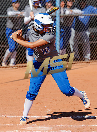 AIA Varsity Girls Softball