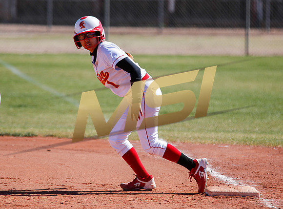 AIA Varsity Girls Softball