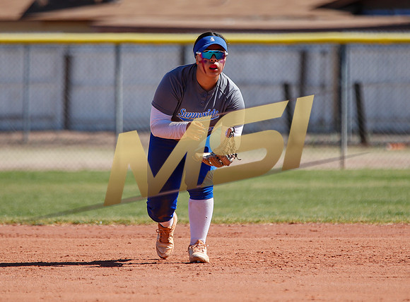 AIA Varsity Girls Softball