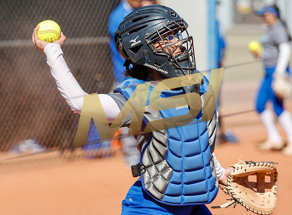 AIA Varsity Girls Softball
