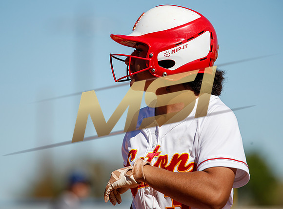 AIA Varsity Girls Softball