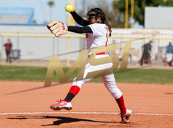 AIA Varsity Girls Softball