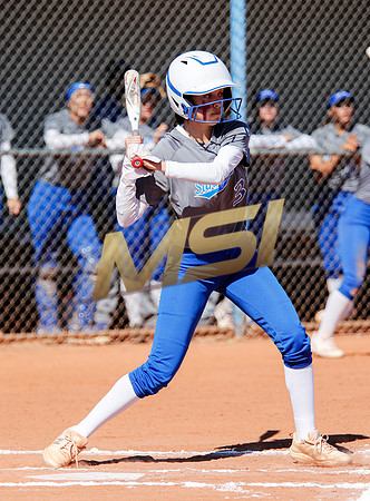 AIA Varsity Girls Softball
