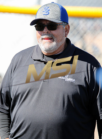 AIA Varsity Girls Softball