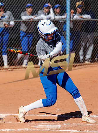 AIA Varsity Girls Softball